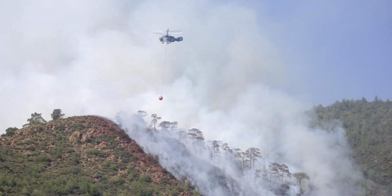 Orman yangınında gözaltına alınan şahıs serbest bırakıldı