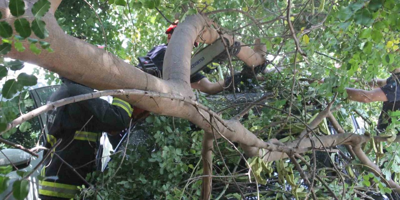 Tatilinin ilk gününde denize girmek için aracını park etti, geri döndüğünde gözlerine inanamadı