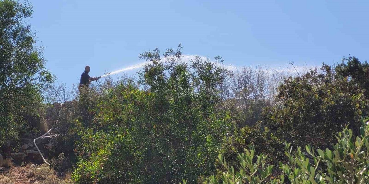 Didim’deki yangın korkuttu