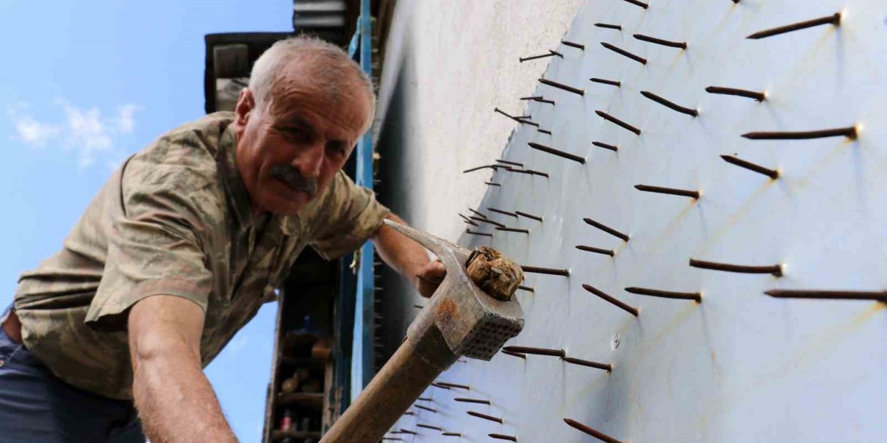 Gümüşhane’de ayı tehdidine Karadeniz usulü çözüm