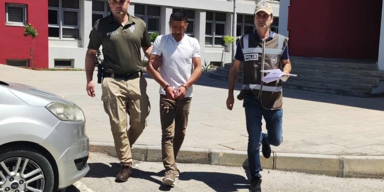 Koyunu döverek bayıltan kasaptan pişkin savunma: "Yormak için öyle yaptım"