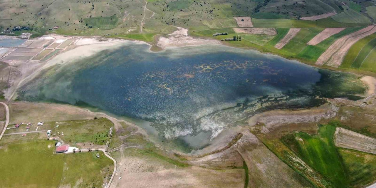 Kuraklık geride kaldı, su tutan kuş cenneti şimdi misafirlerini bekliyor