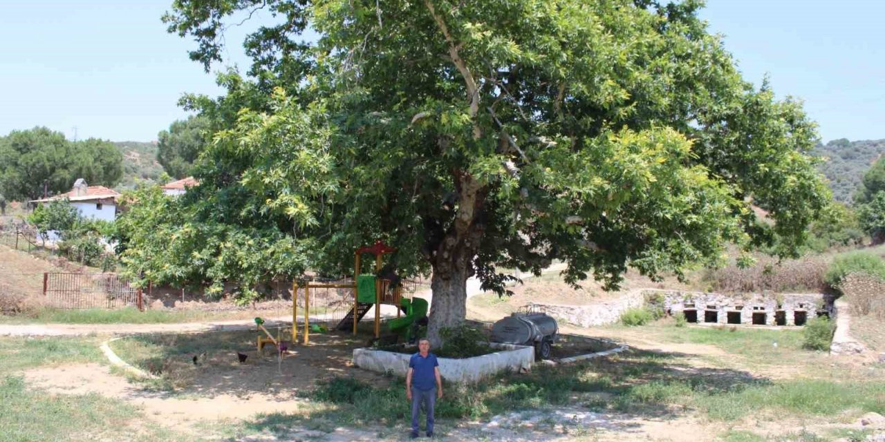 Şahnalı’nın tarihi Sekizpınarlar’ı eski günlerine kavuşmayı bekliyor