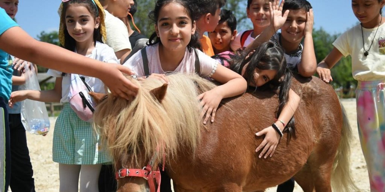 Başkent Millet Bahçesi’nde "Manej" açıldı
