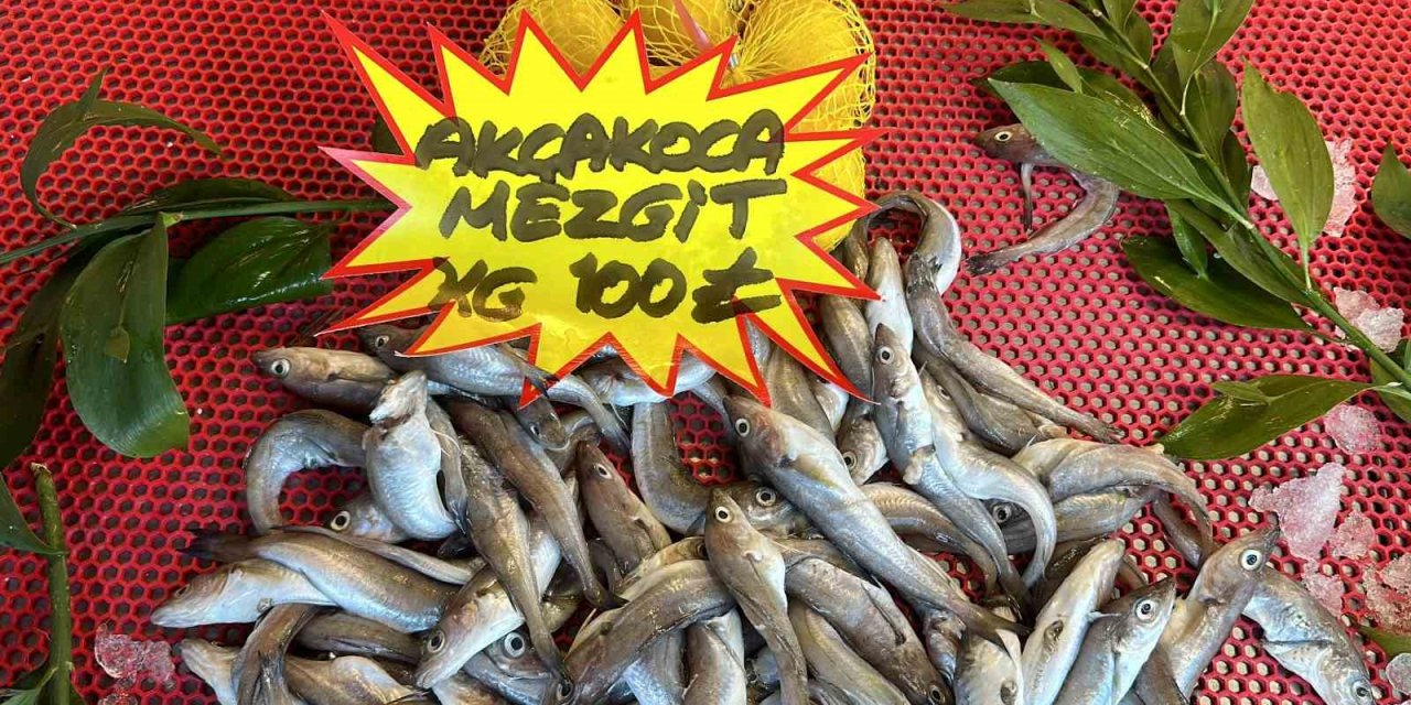 Bayram öncesi balık tezgahlarında son durum