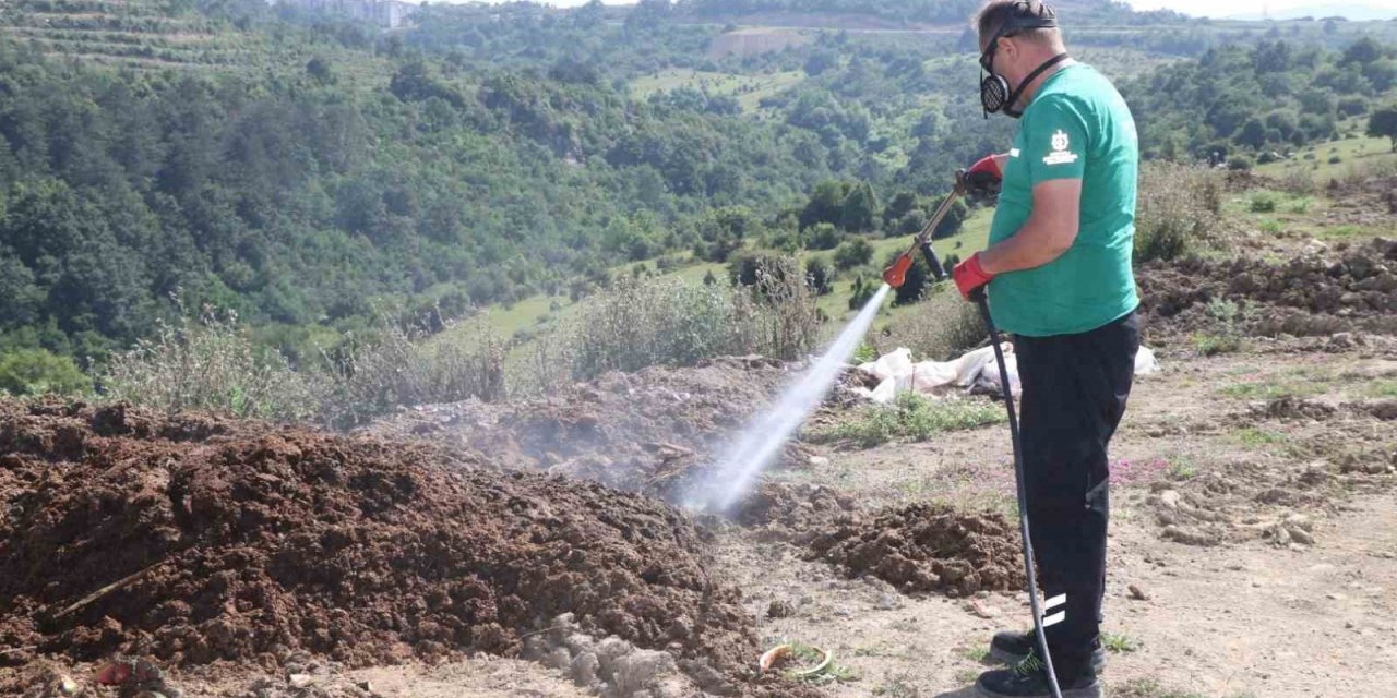 Kurban pazar yerleri ilaçlanıyor