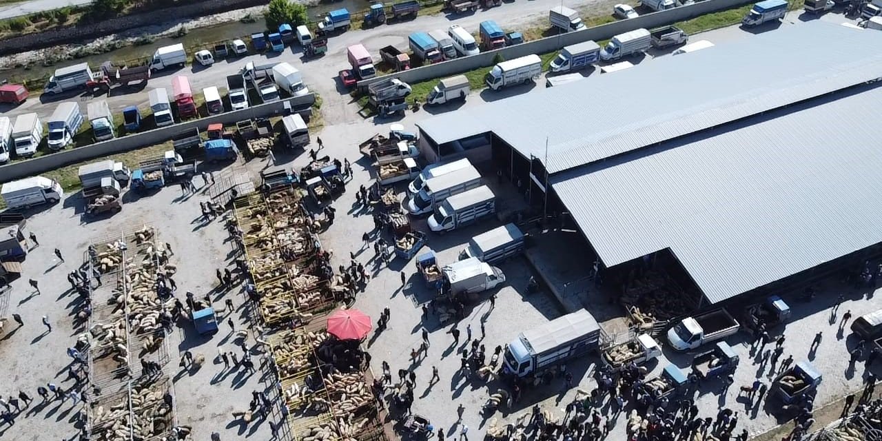 Şuhut kurban pazarında hareketlilik başladı