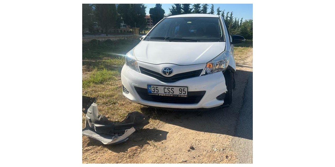 Yola aniden çıkan başıboş köpekler 2 ayrı kazaya sebep oldu