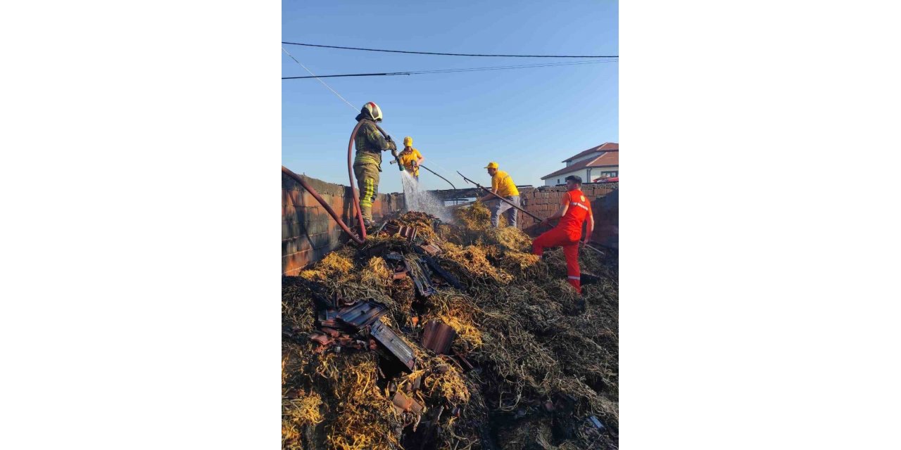 Bursa’da çiftlikte korkutan yangın