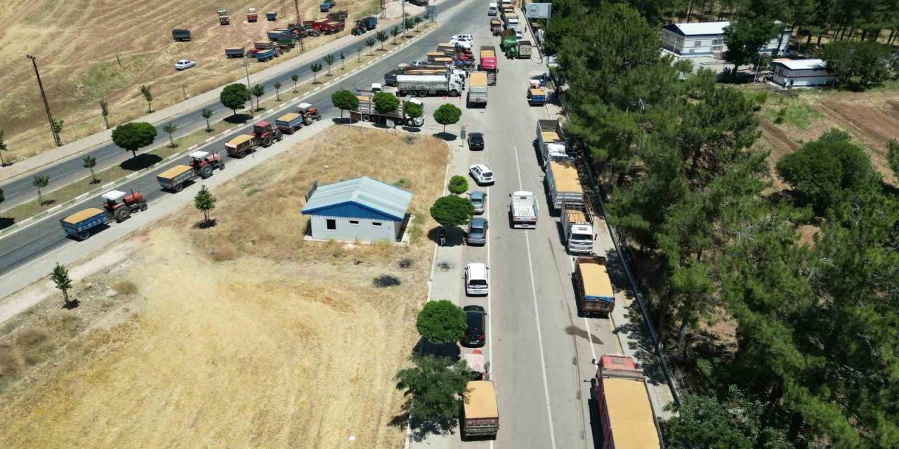 Ambarlar doldu, silolarda yer kalmayınca buğdaylar eski usülle saklanmaya başlandı