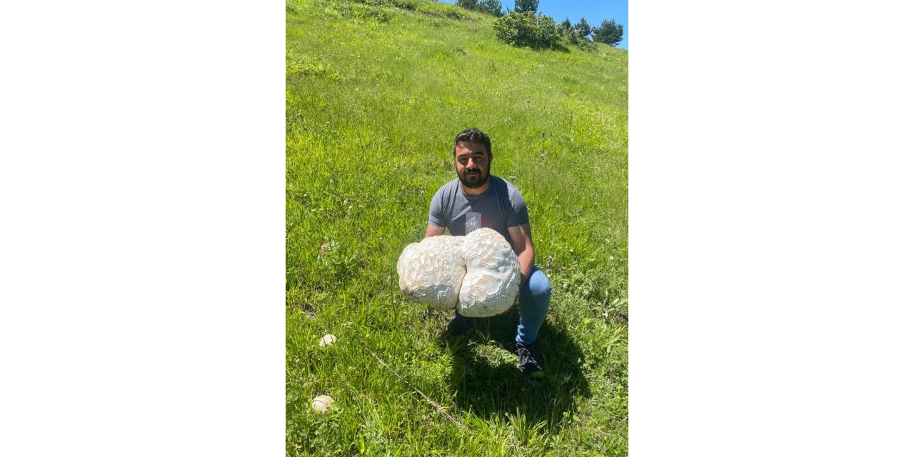 Bulduğunda kaya sandı, ne olduğunu anlayınca şok oldu