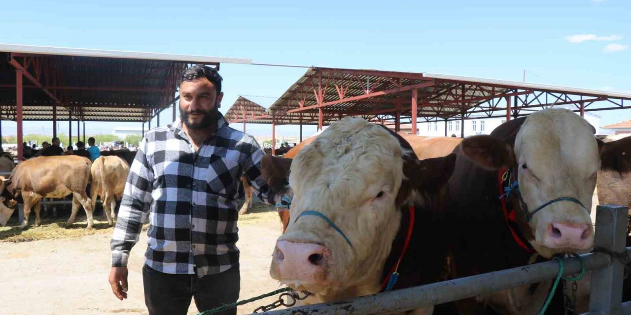 Kırşehir’de otomobil fiyatına kurbanlık