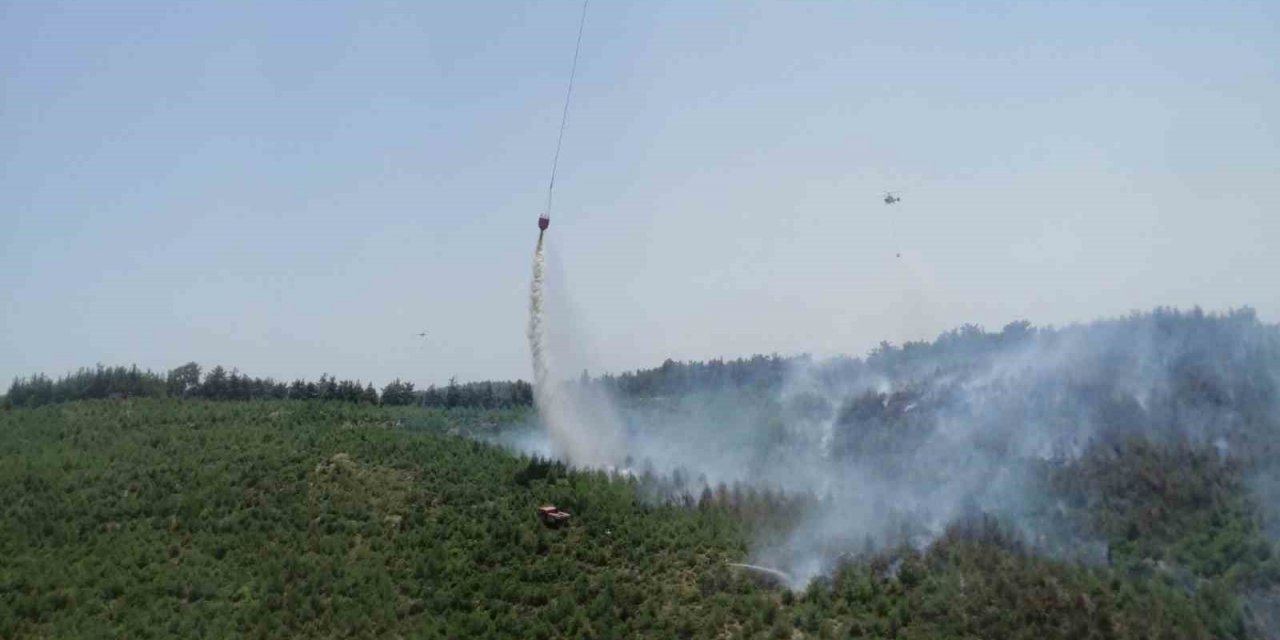 İzmir’deki orman yangını kontrol altında