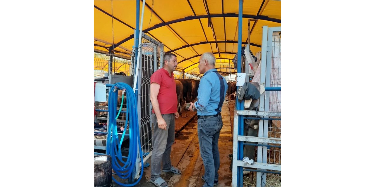 Başkan Altıkulaç: "İstanbul’a sevk edilen kurbanlıkların yüzde 60’ı satıldı"