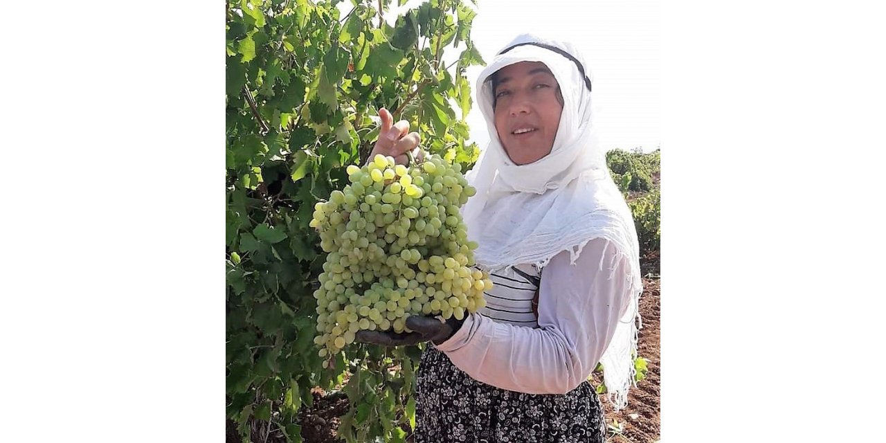 Karaciğer nakli yapılan kadın evinde ölü bulundu