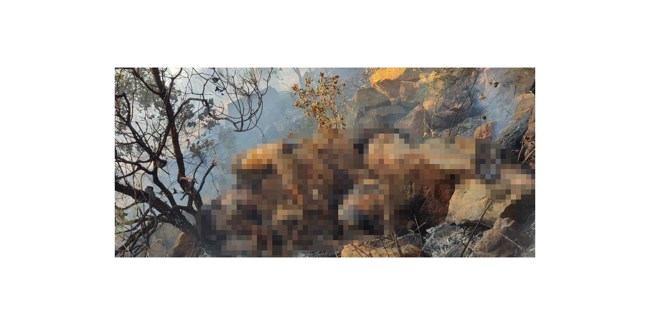 Yangında cesedi bulunmuştu, boğularak öldürüldüğü ortaya çıktı