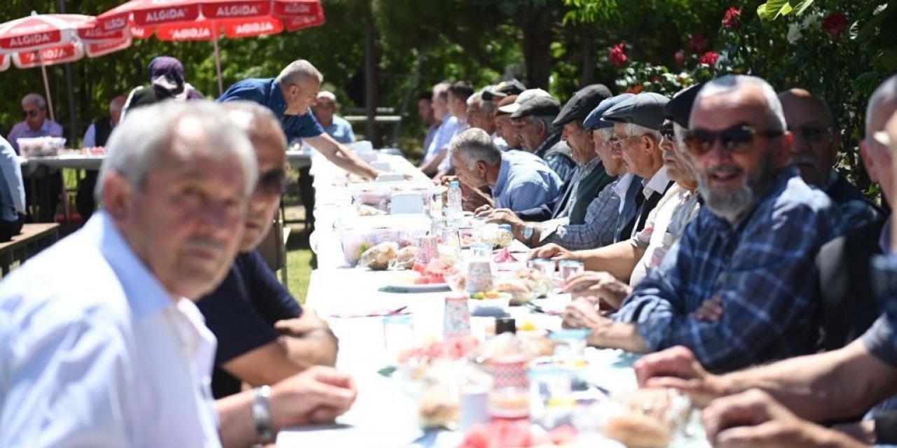 Ulu çınarları buluşturan gelenek