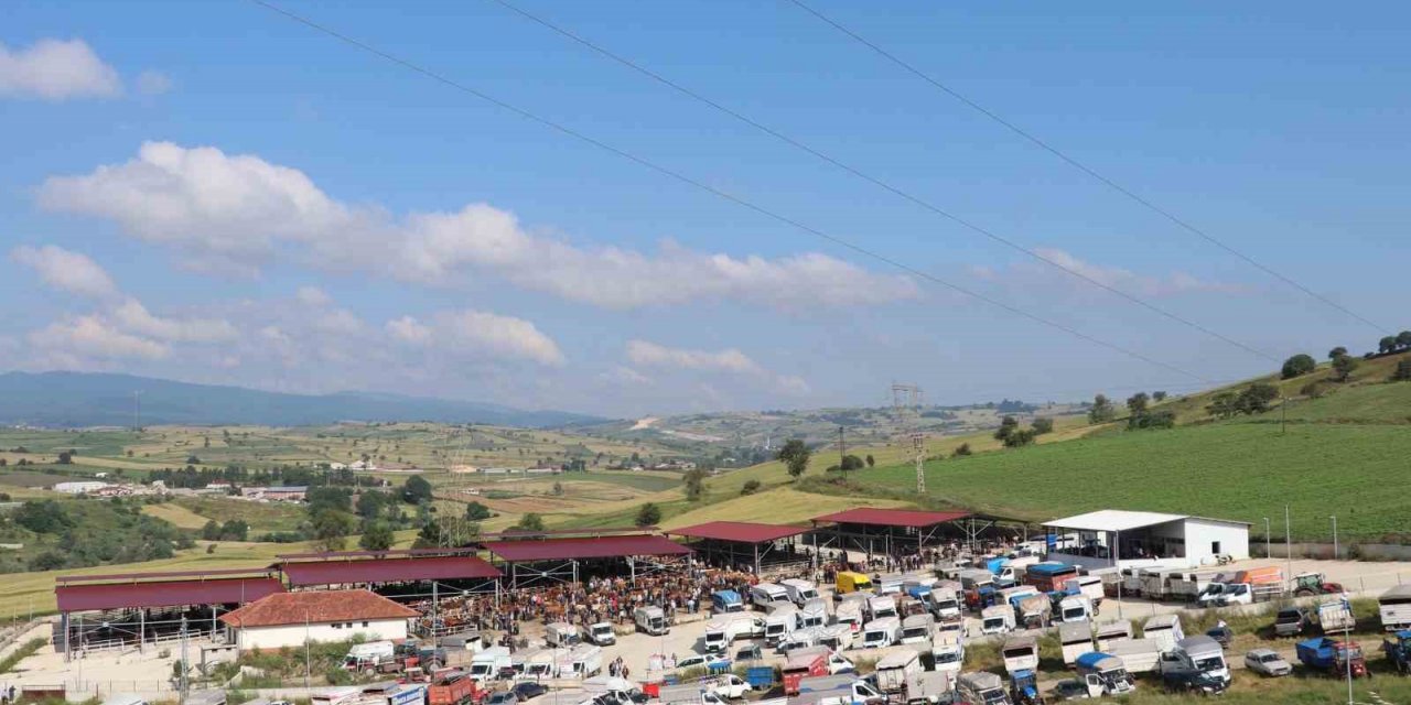 Havza bayrama hazır