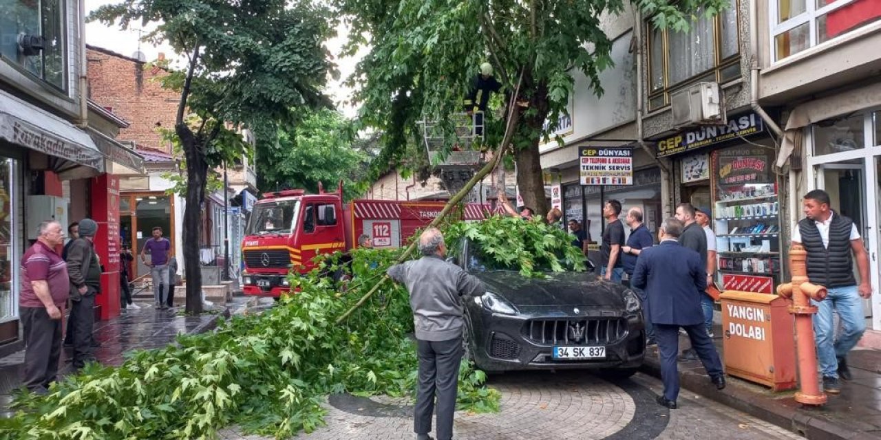 Şiddetli rüzgarda kırılan ağaç dalı, lüks otomobilin üzerine düştü