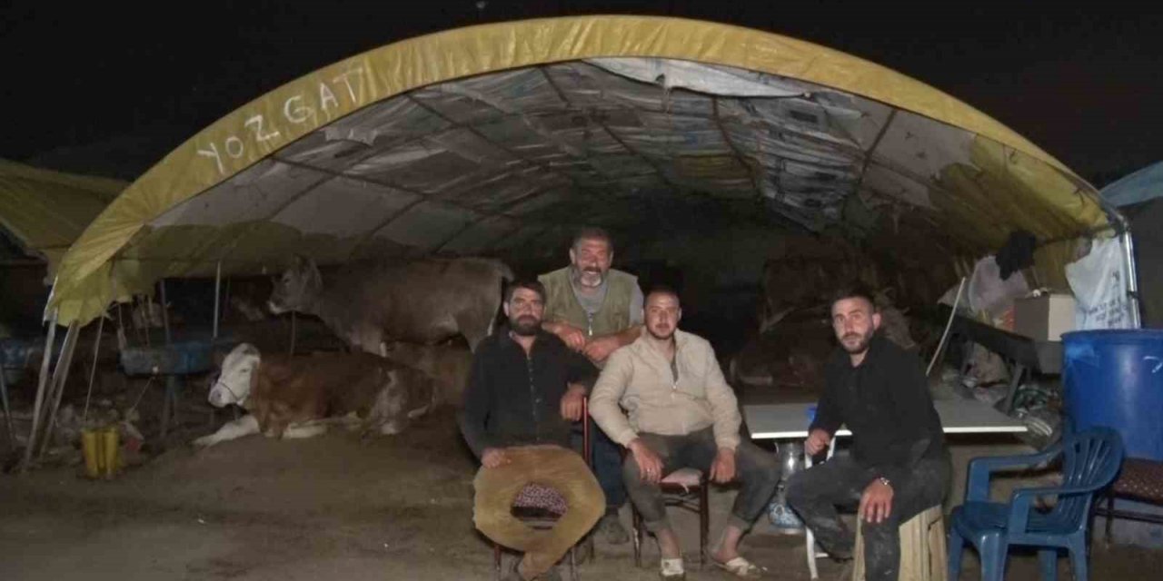 Ankara’da kurban pazarlarında gece zor geçiyor