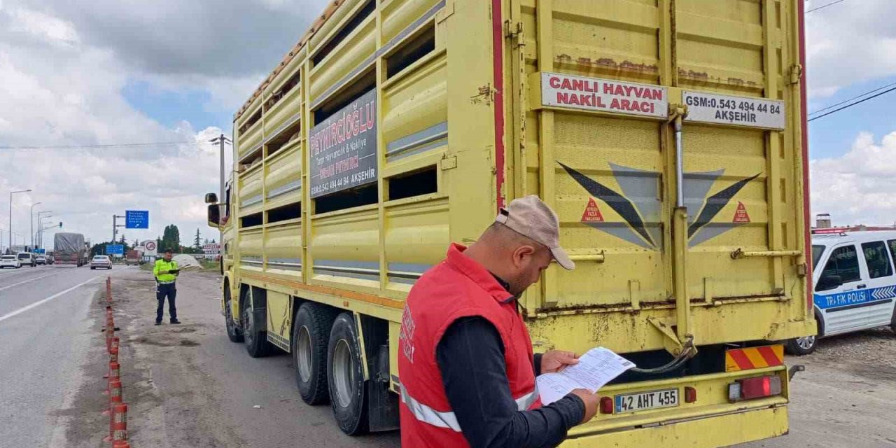 Canlı hayvan sevkiyatının hızlandığı bölgelerde denetim yapıldı