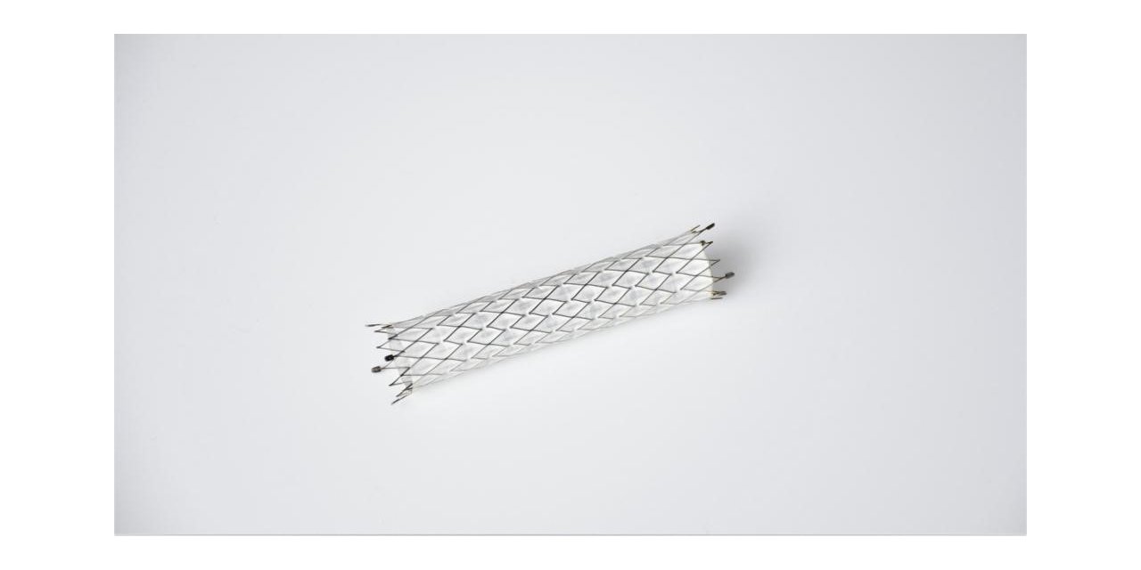 Türkiye’nin ürettiği yapay damar teknolojisine AB onayı