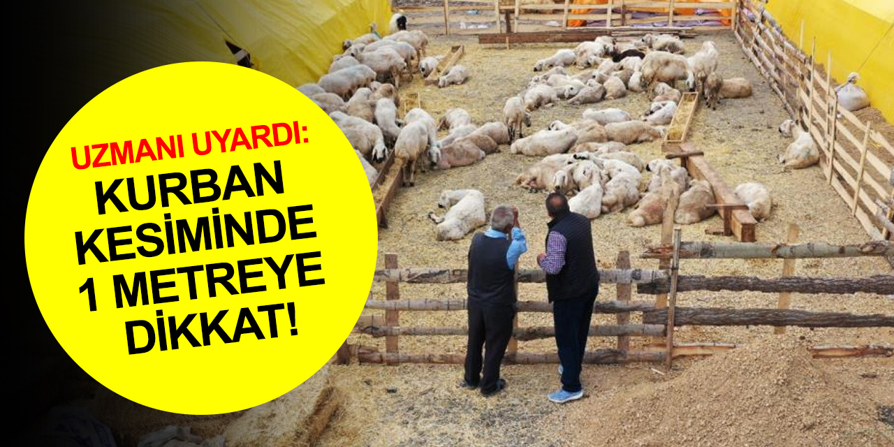 Kurban kesiminde 1 metreye dikkat! Uzmanı uyardı: Et saklama ve taşıma plastik ürünlerle yapılmamalı