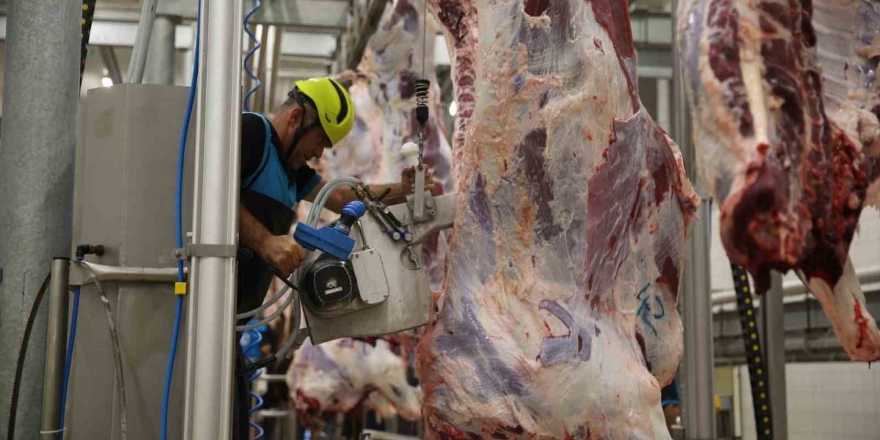 Modern kesimhanede dini hükümlere uygun kesim