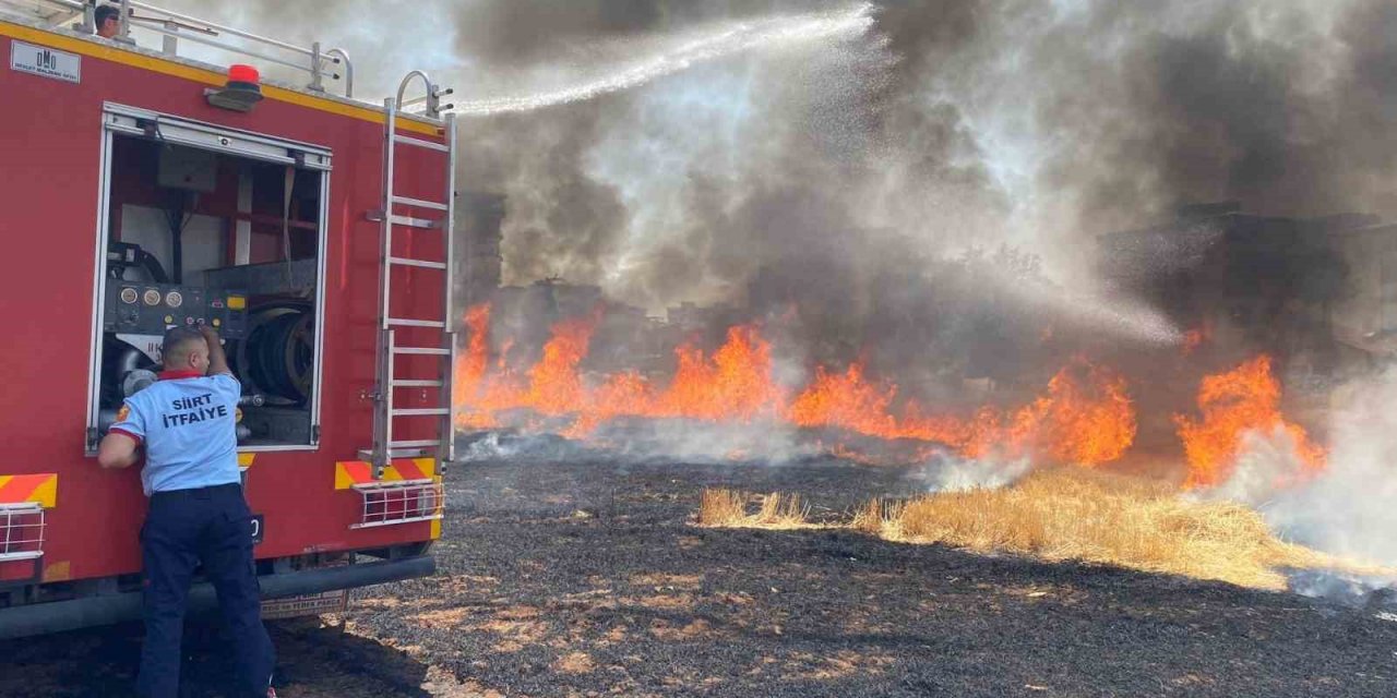 Siirt’te 130 dekar tarım arazisi küle döndü