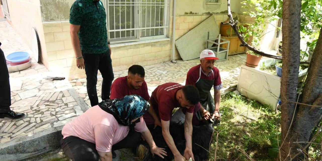 174 vatandaşın evlerine gidilerek, kurban kesim hizmeti verildi