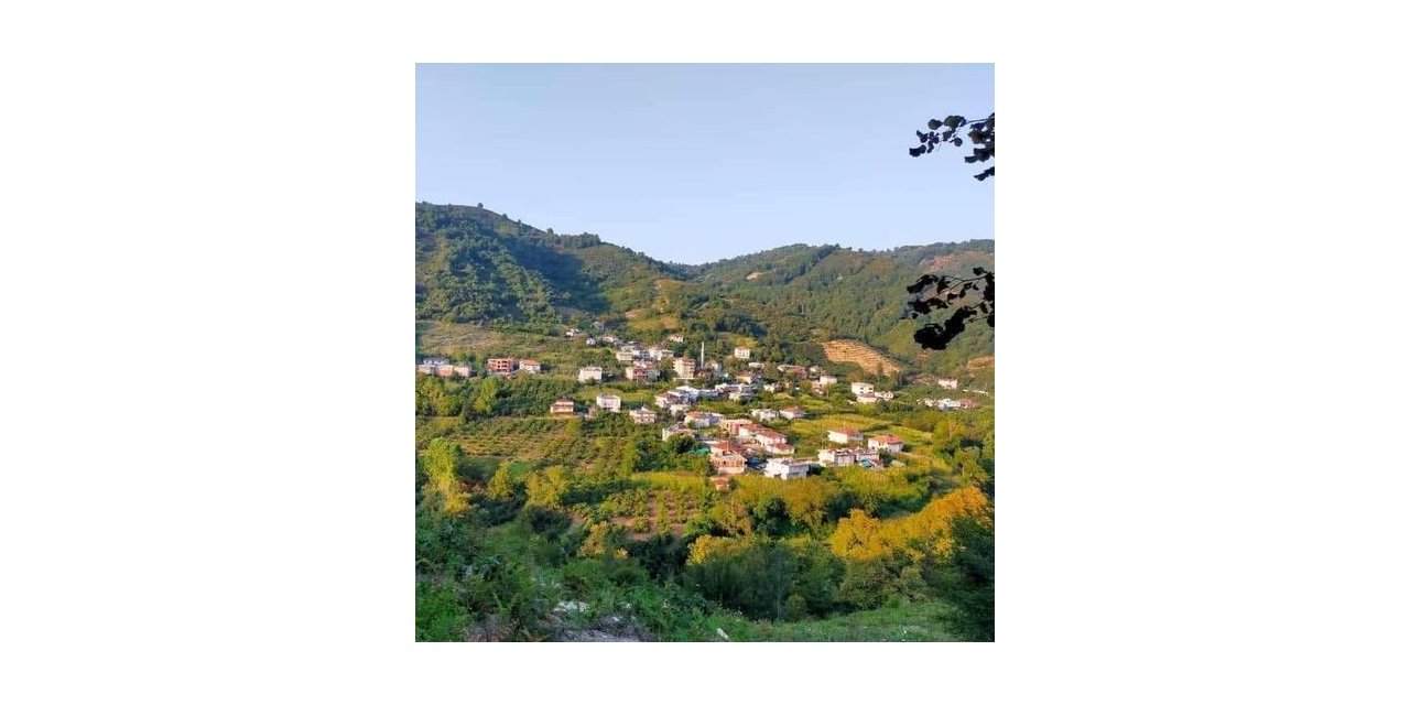 Hırsızlar, Alaplı’da boş evlere dadandı