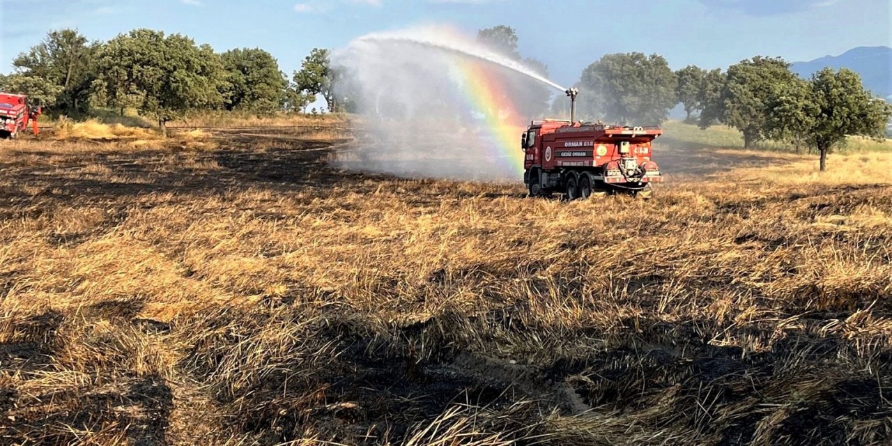 Gediz’de çıkan yangında 8 dekar buğday tarlası zarar gördü