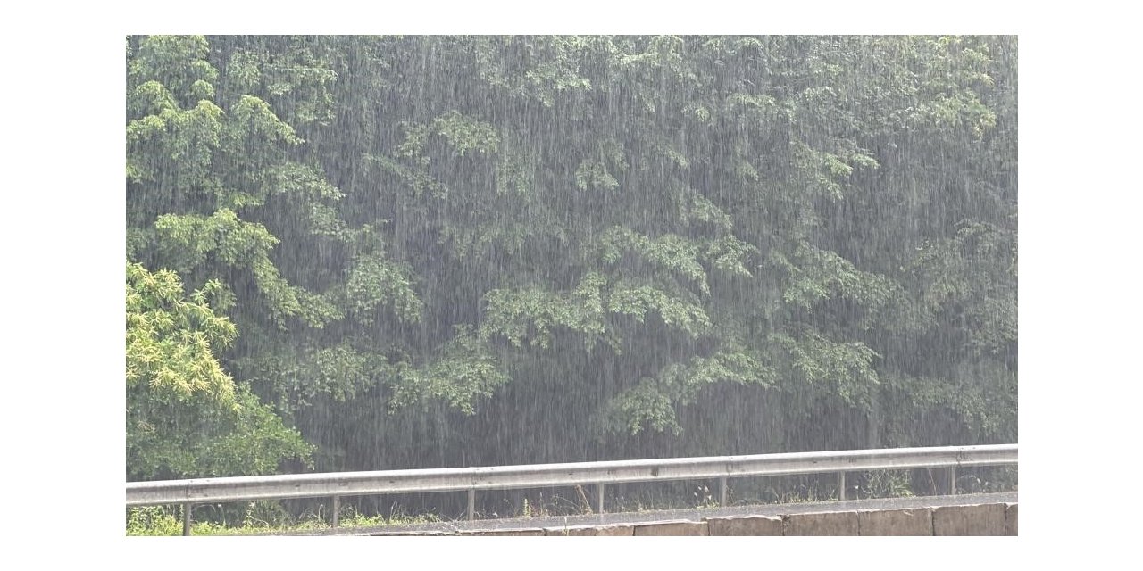 Türkiye’de en çok yağışın düştüğü il Düzce oldu