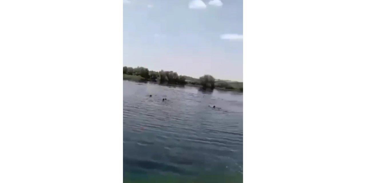 Piknik faciası cep telefonu kamerasında