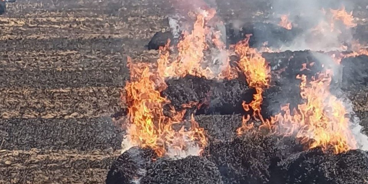Bandırma’da tarla yangını