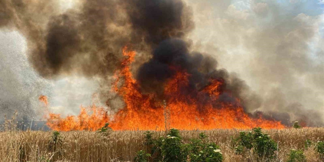 47 dönüm buğday tarlası 10 dakikada cayır cayır yandı