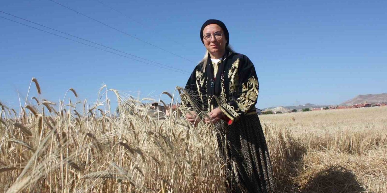 Milletvekili şalvar giydi, biçerdöver ile ekin biçti