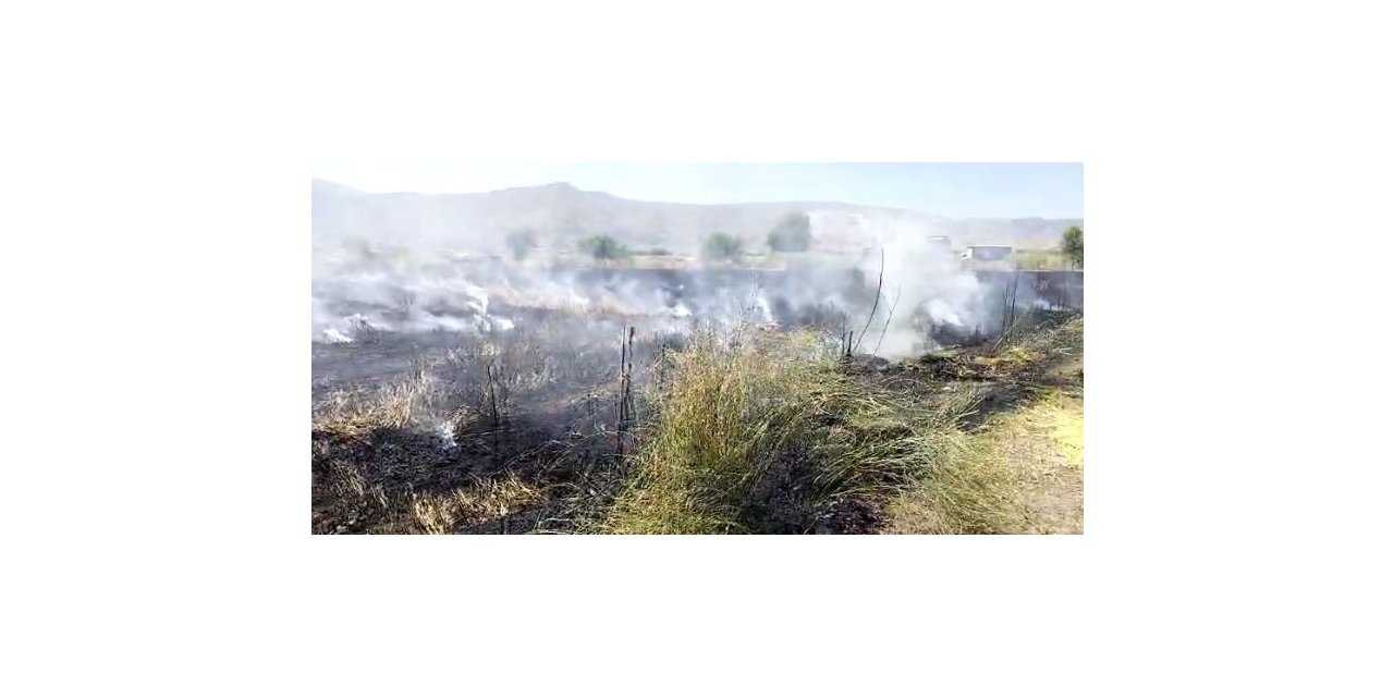 Elazığ’da 10 dönüm tarım arazisi yandı