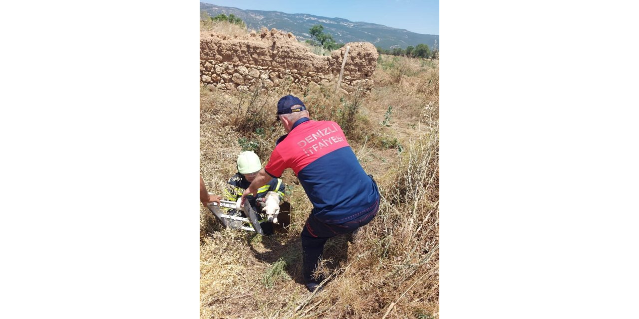 Arazideki kuyuya düşen köpek kurtarıldı
