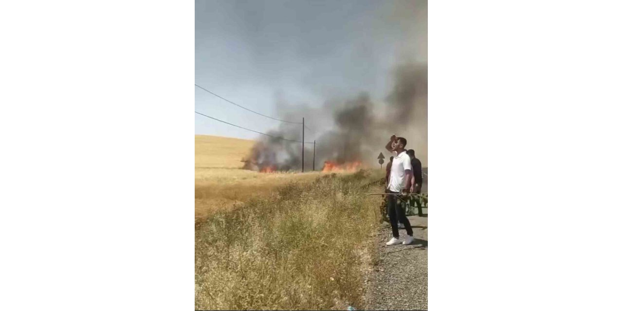 Kozluk’ta 100 dönüm buğday tarlası küle döndü