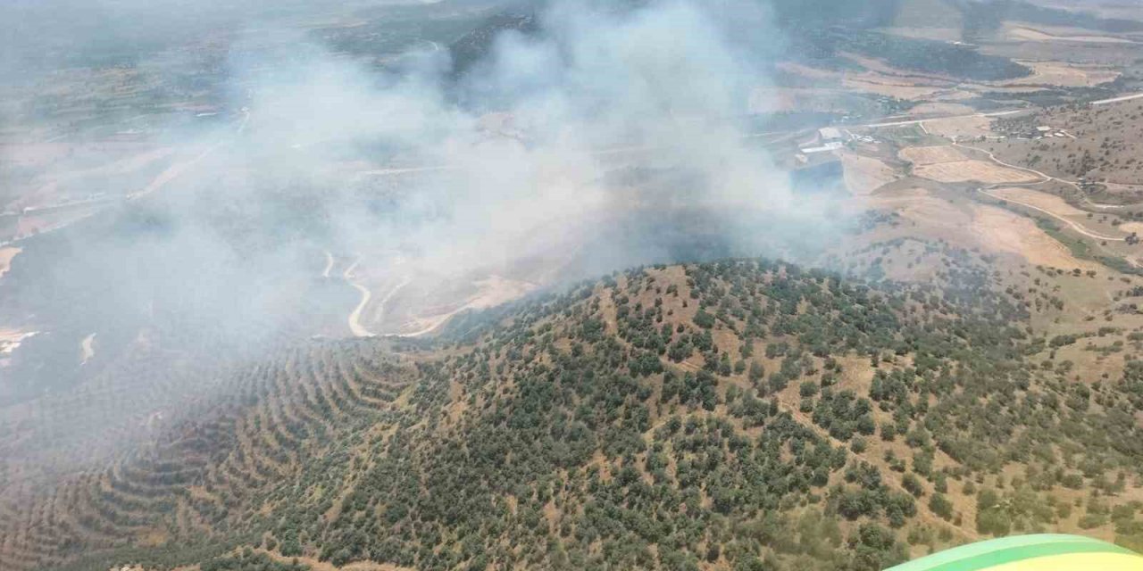 Ekin tarlasında başlayan yangın ormana sıçradı