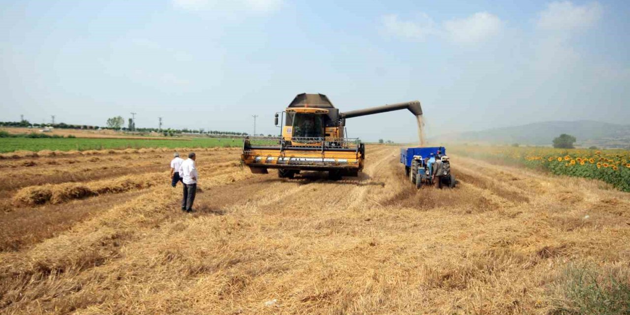 Başkan Aydın devreye girdi, TMO alımlara başlıyor
