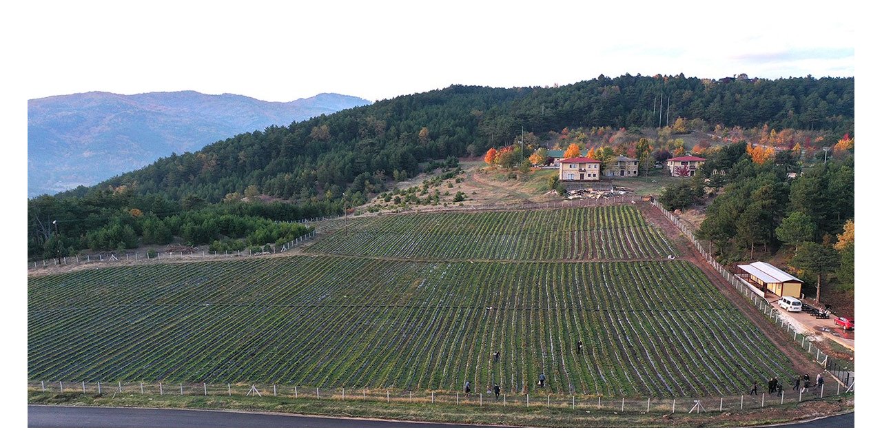 Başkan Yüce: “Bu yıl üretim hedeflerimizin üzerine çıkacağız”