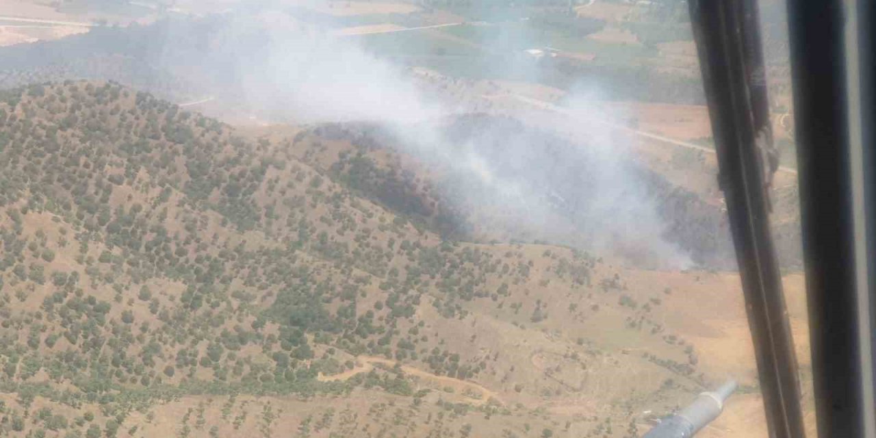 İzmir’de ormana sıçrayan yangın kontrol altında