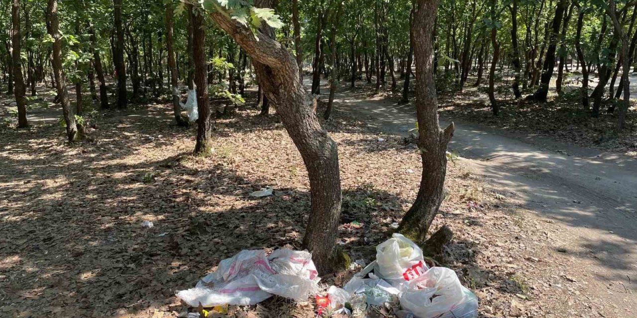 Ormanlık alan yine çöplüğe döndü