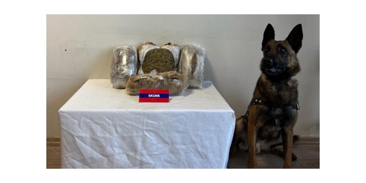 Bolu’da 5 kilo uyuşturucuyu narkotik köpeği "Bıçak" yakaladı: 5 gözaltı