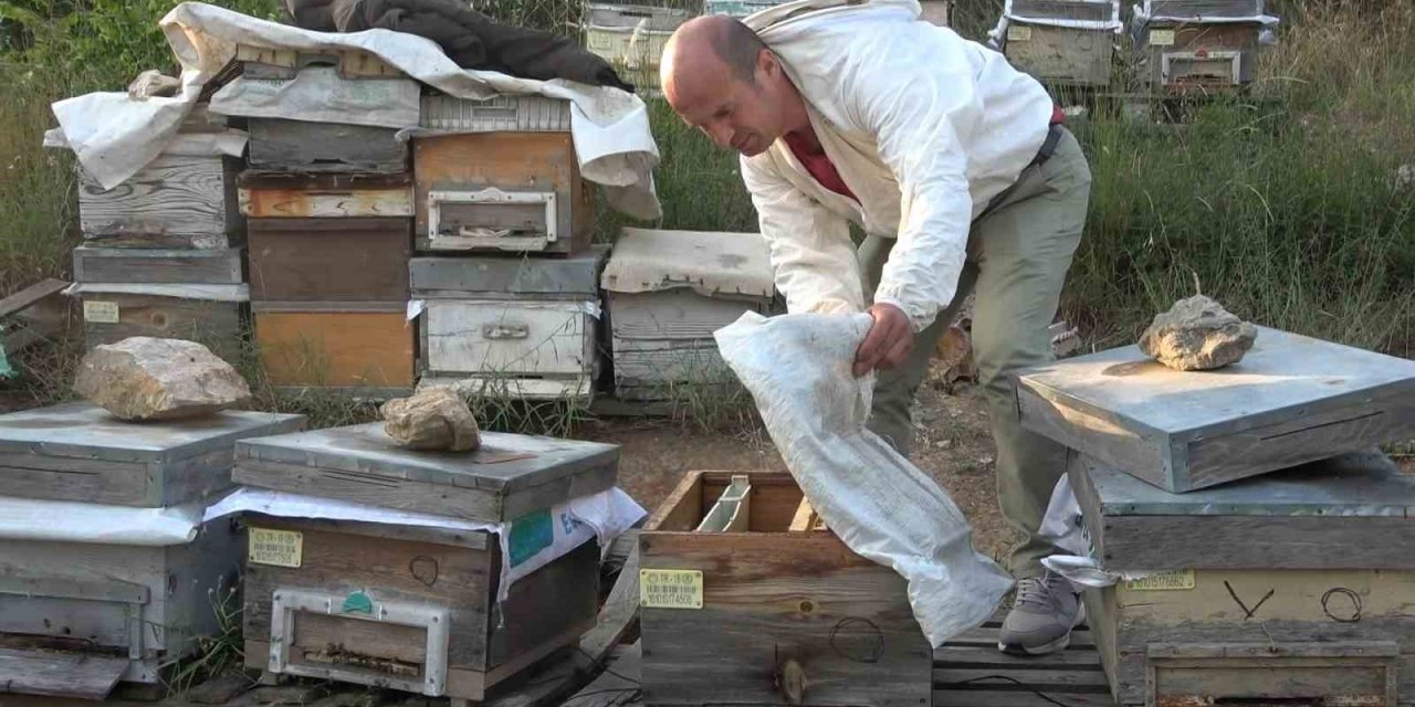 Bursa’da ilginç hırsızlık...Arıları kovanlarıyla birlikte çaldılar