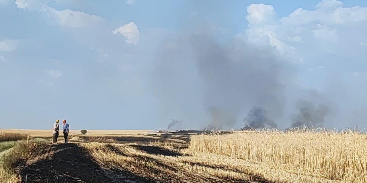 Tarım arazisinde çıkan yangın büyümeden söndürüldü