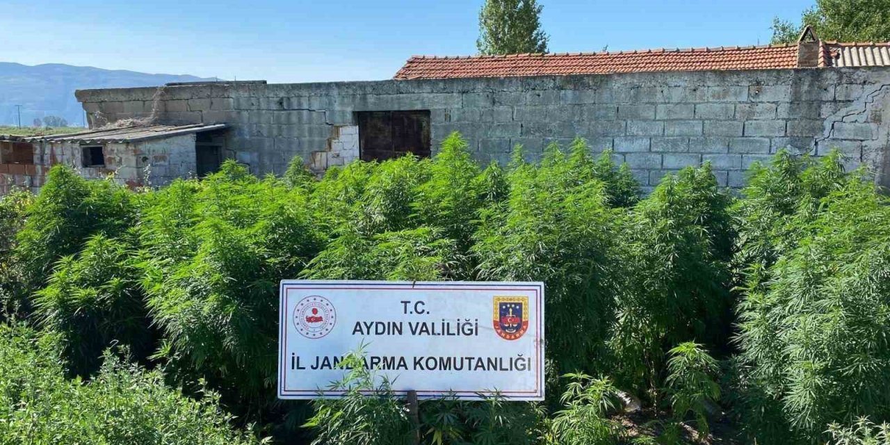 Çiftlik evine uyuşturucu baskını: 1 tutuklama