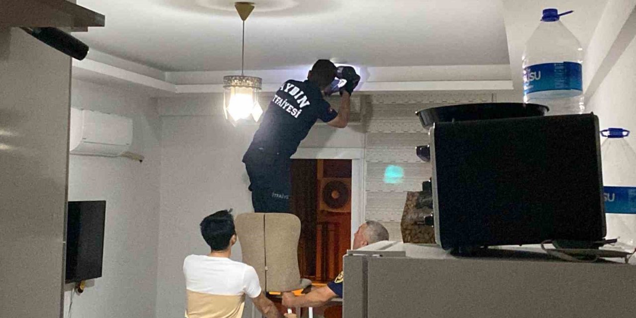 Aydın’da yarasa paniği